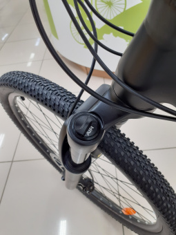 VARMA X22 29" фото