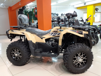 IRBIS TA-F300 EFI фото