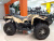 IRBIS TA-F300 EFI фото